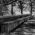 Picnic Table, Blanco State Park, 1950s