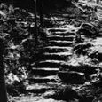 From Herbert Maier's "The Library of Original Sources," Stone Steps, Mother Neff State Park, c. 1938